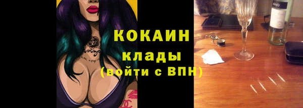 ECSTASY Алзамай