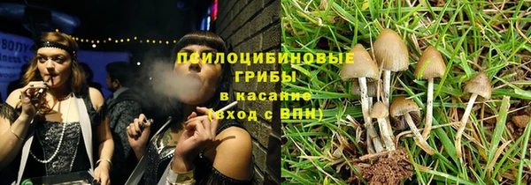 мяу мяу кристалл Алексин