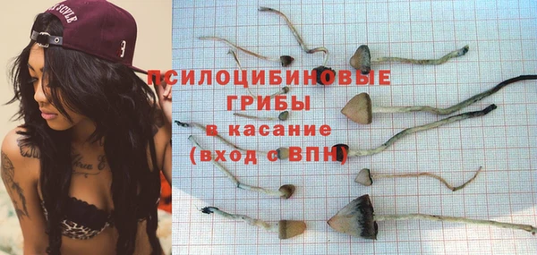 ECSTASY Алзамай