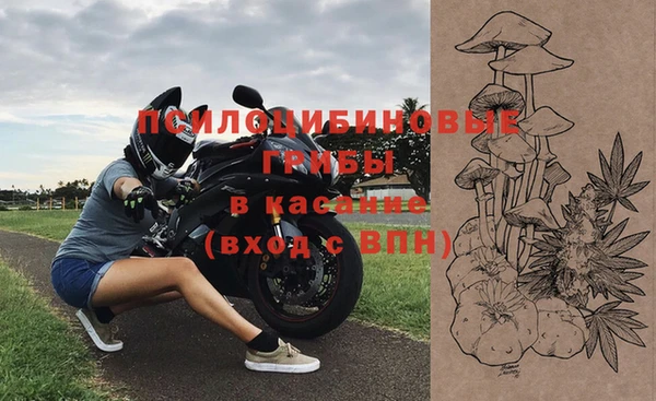 ECSTASY Алзамай