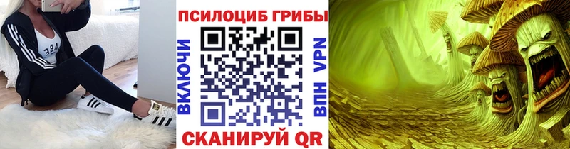Псилоцибиновые грибы GOLDEN TEACHER  Кондопога 