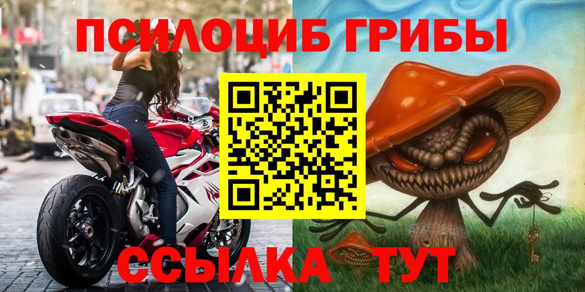 что такое   Псилоцибиновые грибы прущие грибы  Вход с VPN  Кондопога 