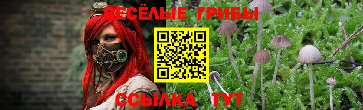 Галлюциногенные грибы мухоморы Кондопога